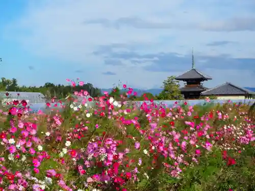 法起寺(奈良県)