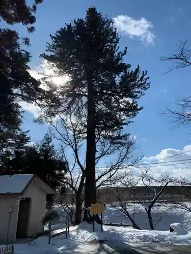 花巻神社の自然