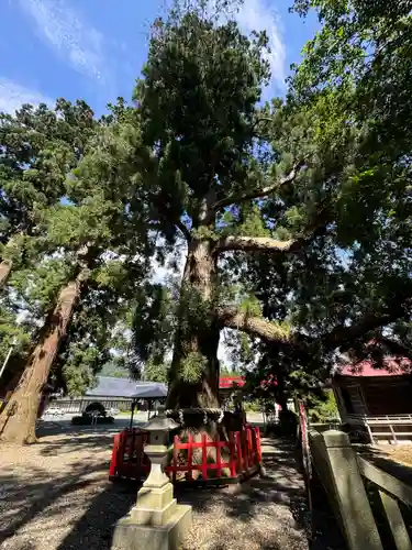 志和古稲荷神社(岩手県)