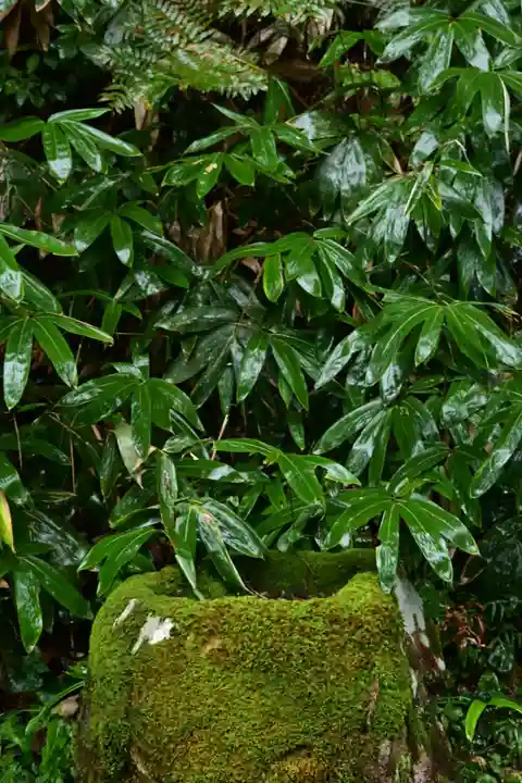 比婆山久米神社(島根県)