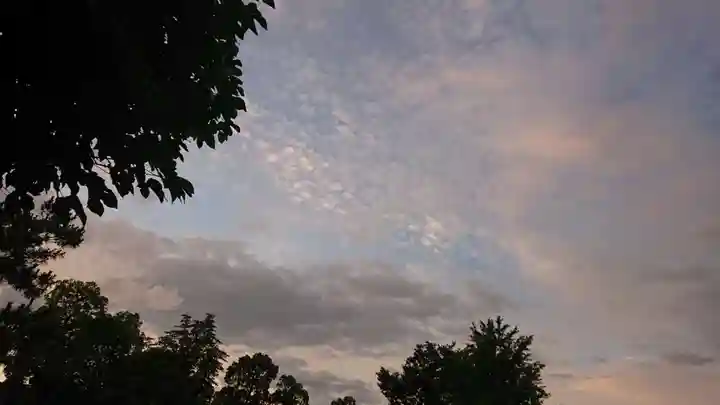尾張大國霊神社(国府宮)の自然