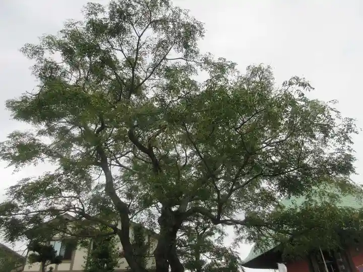 本覚寺(神奈川県)