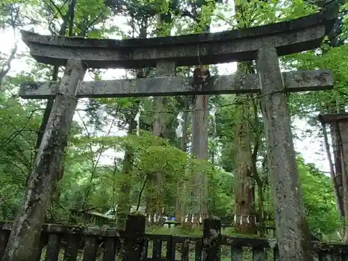 瀧尾神社（日光二荒山神社別宮）の鳥居