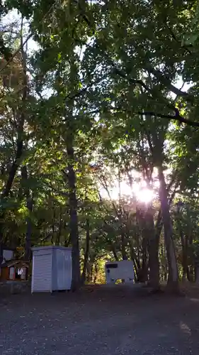 星置神社の自然