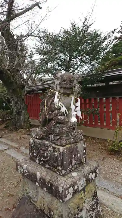 荒雄神社の狛犬