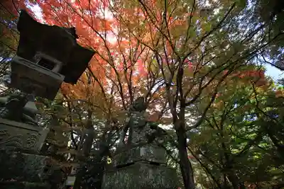 鰐淵寺のその他建物