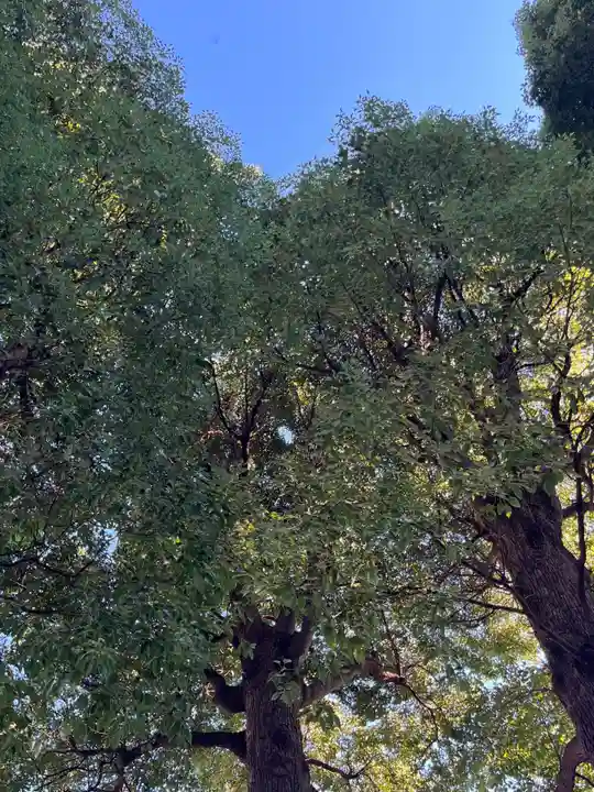 松陰神社(東京都)