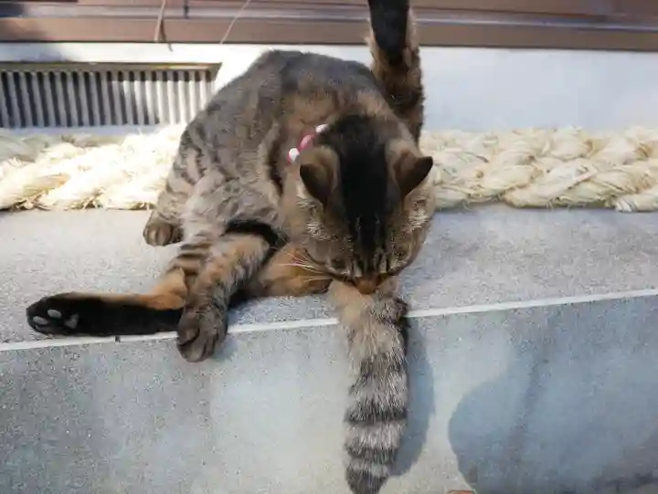山梨縣護國神社の動物