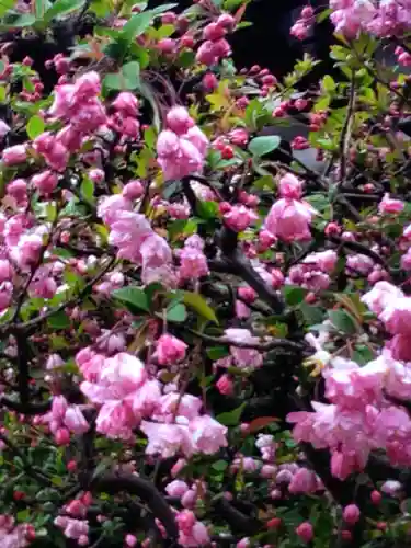 本郷氷川神社(東京都)