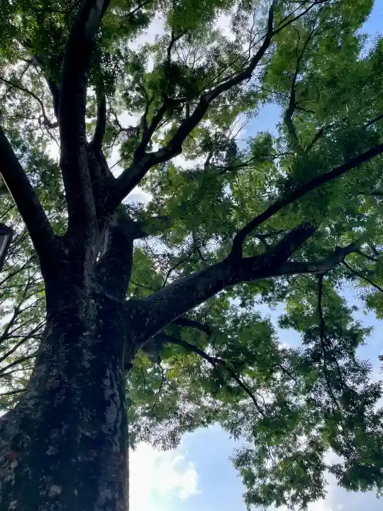 祥雲寺(東京都)