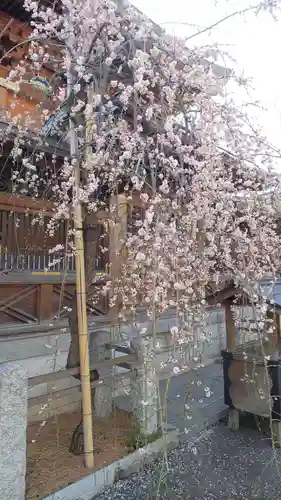 湯島天満宮の庭園