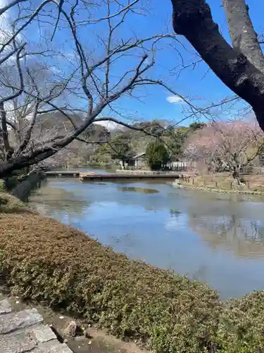 鶴岡八幡宮の景色