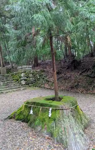 元伊勢内宮 皇大神社(京都府)