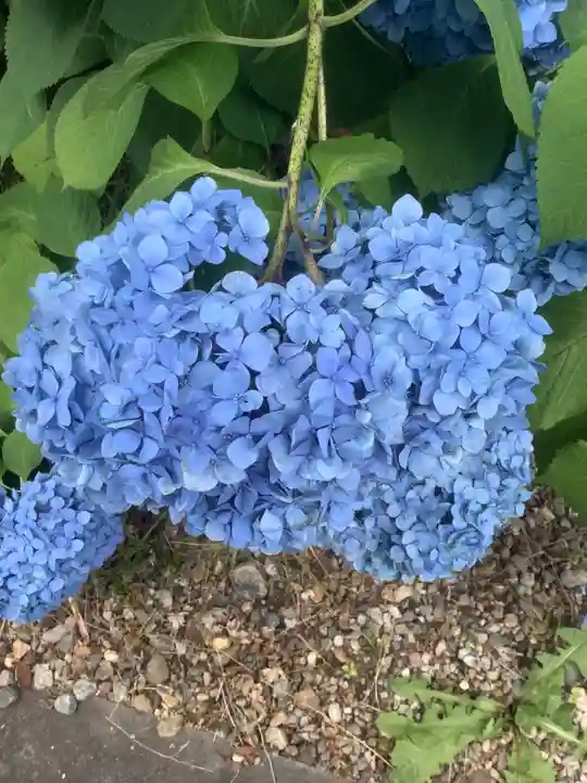 庄中観音堂(愛知県)