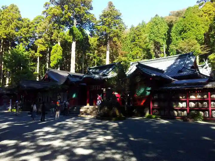 箱根神社の本殿・本堂
