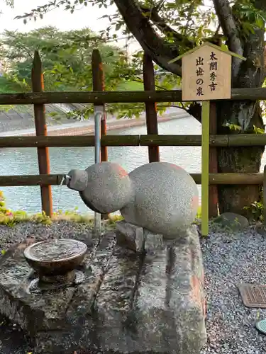 白髭神社の手水