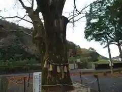 林野神社の自然