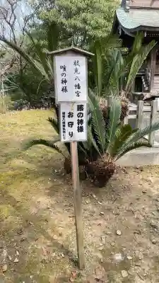 枝光八幡宮の{uncategorized: "未分類", other: "その他", undefined: "問題あり", building: "その他建物", grave: "お墓", sacred_gate: "鳥居", guardian: "狛犬", statue: "像", buddha: "仏像", history: "歴史", nature: "自然", garden: "庭園", animal: "動物", pagoda: "塔", temizu: "手水舎", mountain_gate: "山門・神門", sanctuary: "本殿・本堂", subordinate: "末社・摂社", art: "芸術", scenery: "景色", jizo: "地蔵", ema: "絵馬", goshuin: "御朱印", omikuji: "おみくじ", items: "授与品その他", amulet: "お守り", goshuincho: "御朱印帳", eats: "食事", festival: "お祭り", votive_dance: "神楽", shichigosan: "七五三参", wedding: "結婚式", experience: "体験その他", initially: "初詣", around: "周辺", anti_infection: "感染症対策"}