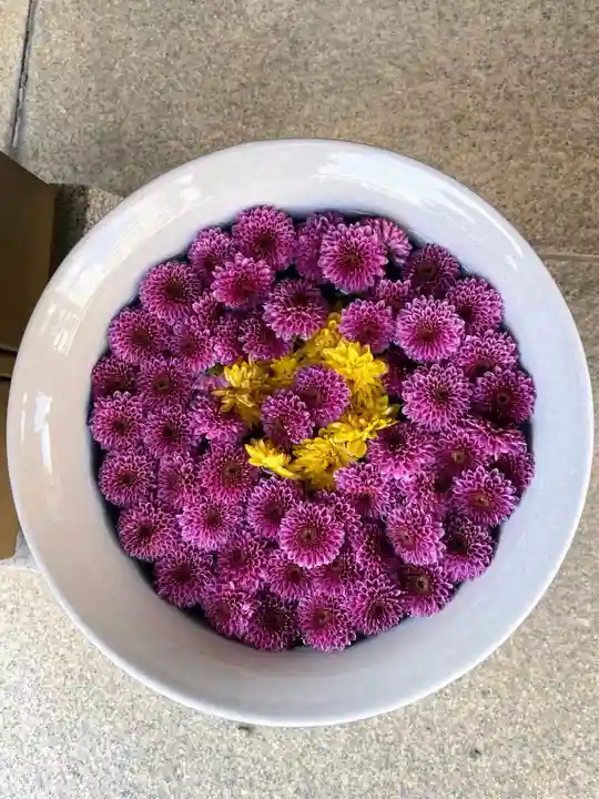 白金氷川神社(東京都)