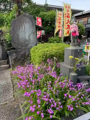 浄名院(東京都)