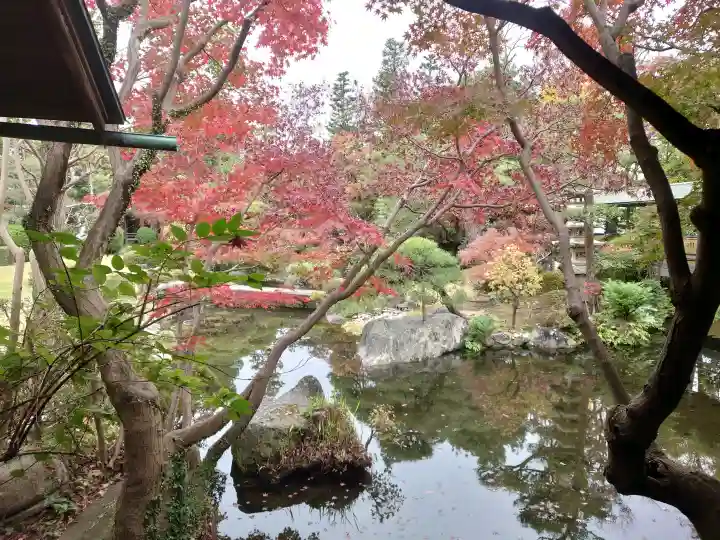 題経寺(柴又帝釈天)の{uncategorized: "未分類", other: "その他", undefined: "問題あり", building: "その他建物", grave: "お墓", sacred_gate: "鳥居", guardian: "狛犬", statue: "像", buddha: "仏像", history: "歴史", nature: "自然", garden: "庭園", animal: "動物", pagoda: "塔", temizu: "手水舎", mountain_gate: "山門・神門", sanctuary: "本殿・本堂", subordinate: "末社・摂社", art: "芸術", scenery: "景色", jizo: "地蔵", ema: "絵馬", goshuin: "御朱印", omikuji: "おみくじ", items: "授与品その他", amulet: "お守り", goshuincho: "御朱印帳", eats: "食事", festival: "お祭り", votive_dance: "神楽", shichigosan: "七五三参", wedding: "結婚式", experience: "体験その他", initially: "初詣", around: "周辺", anti_infection: "感染症対策"}