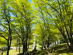 土津神社|こどもと出世の神さまの自然(2022年05月20日(金) 19時07分25秒投稿)