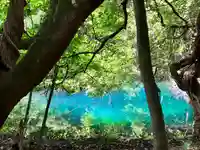 丸池神社(山形県)