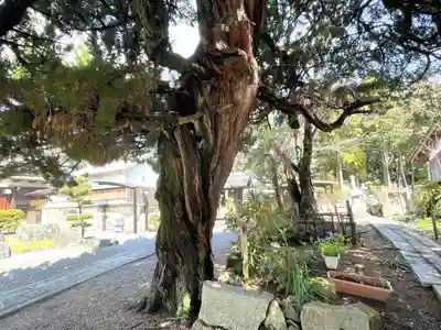 大蓮寺(滋賀県)