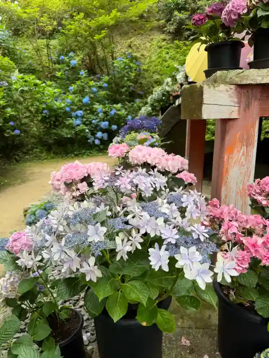 岩船寺(京都府)