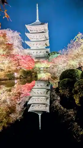 東寺（教王護国寺）(京都府)