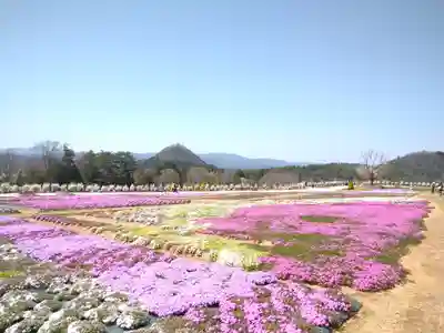 巳徳神社の周辺