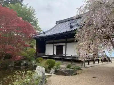 善峯寺(京都府)