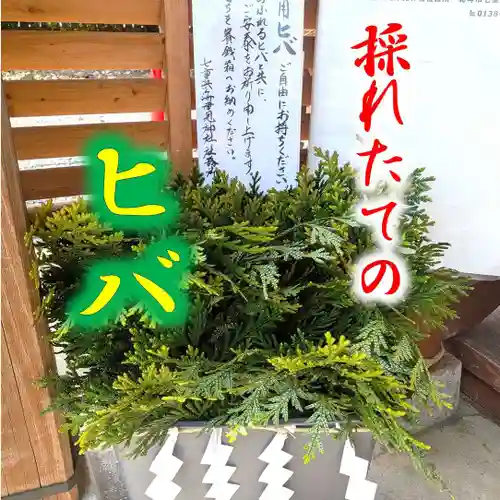 七重浜海津見神社(北海道)