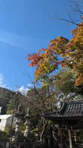 松尾大社(京都府)