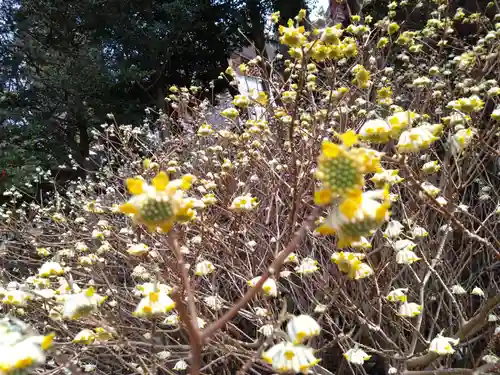 英彦山神宮(福岡県)