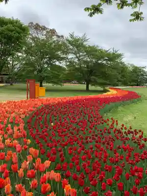 穂高神社本宮(長野県)