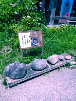 般若寺 ❁﻿コスモス寺❁(奈良県)