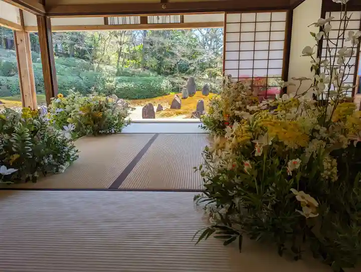 光明院(光明禅院)(京都府)