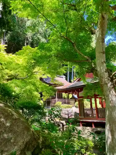 長命寺の{uncategorized: "未分類", other: "その他", undefined: "問題あり", building: "その他建物", grave: "お墓", sacred_gate: "鳥居", guardian: "狛犬", statue: "像", buddha: "仏像", history: "歴史", nature: "自然", garden: "庭園", animal: "動物", pagoda: "塔", temizu: "手水舎", mountain_gate: "山門・神門", sanctuary: "本殿・本堂", subordinate: "末社・摂社", art: "芸術", scenery: "景色", jizo: "地蔵", ema: "絵馬", goshuin: "御朱印", omikuji: "おみくじ", items: "授与品その他", amulet: "お守り", goshuincho: "御朱印帳", eats: "食事", festival: "お祭り", votive_dance: "神楽", shichigosan: "七五三参", wedding: "結婚式", experience: "体験その他", initially: "初詣", around: "周辺", anti_infection: "感染症対策"}