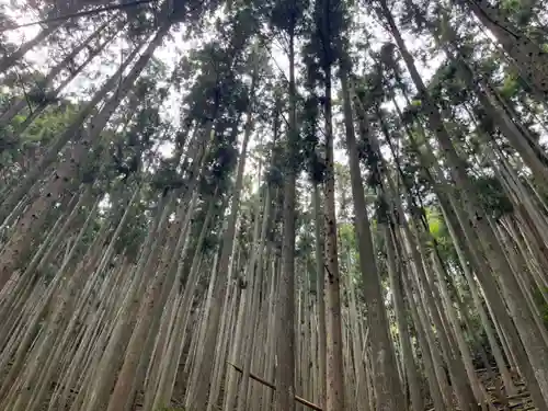 空也の滝(京都府)
