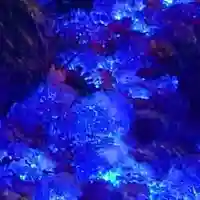 五泉八幡宮(新潟県)