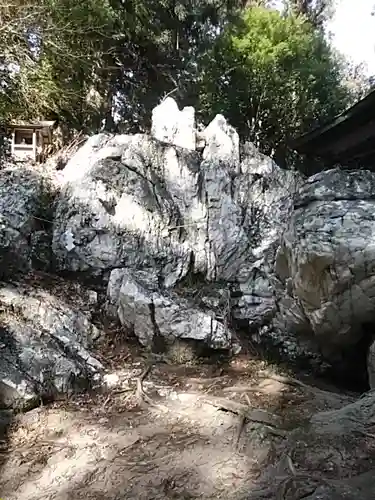 鹿島大神宮の自然