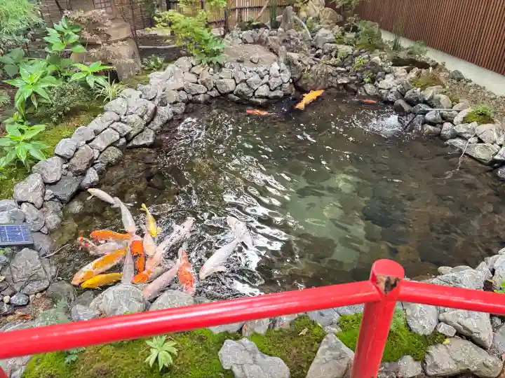 秩父神社(埼玉県)