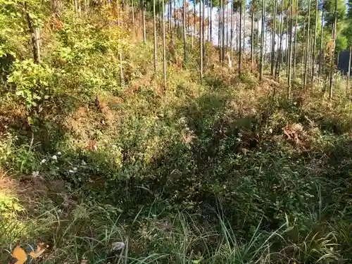 氷室神社の自然