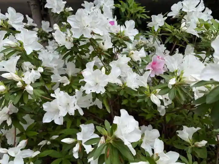 崇道天皇社(奈良県)