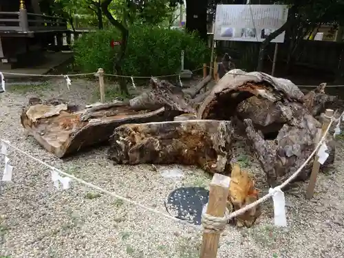 布多天神社の自然