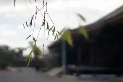 蓮華王院（三十三間堂）(京都府)