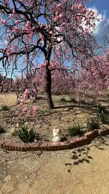 屯倉神社(大阪府)