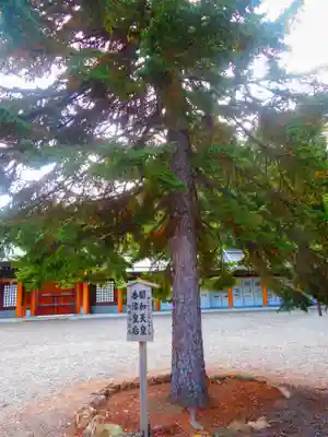 北海道神宮(北海道)