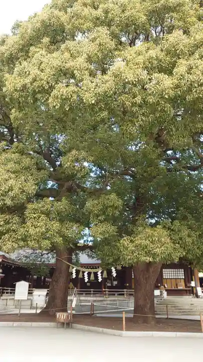 明治神宮の自然